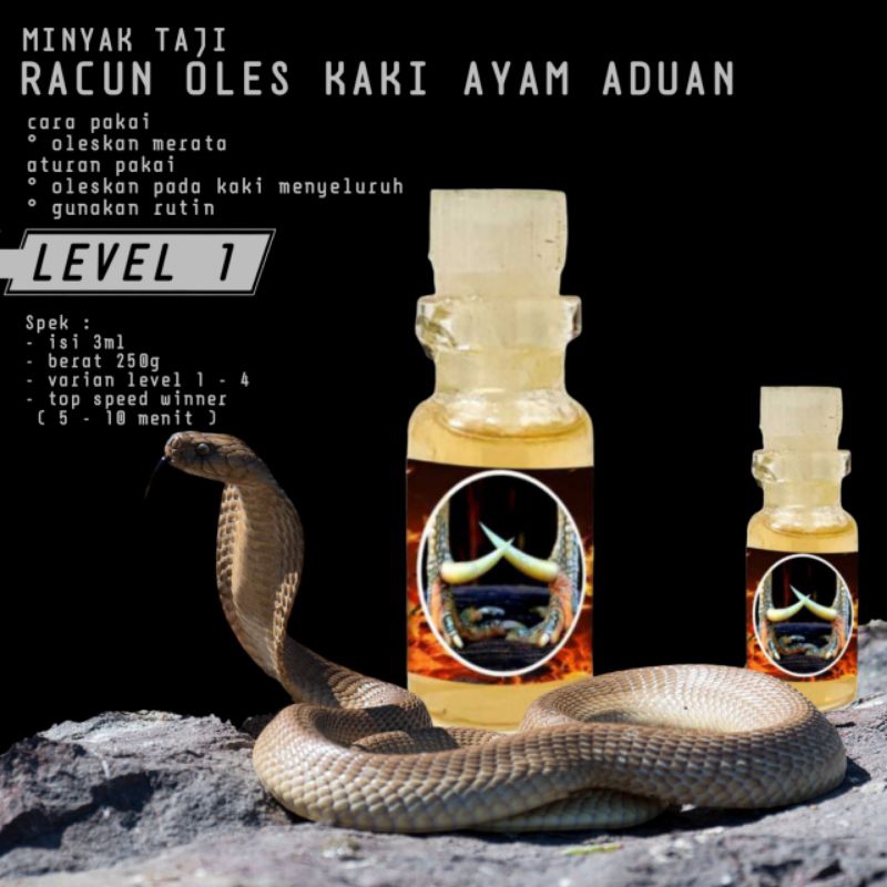 Doping Rawatan ayam koyngon jago Koytrad