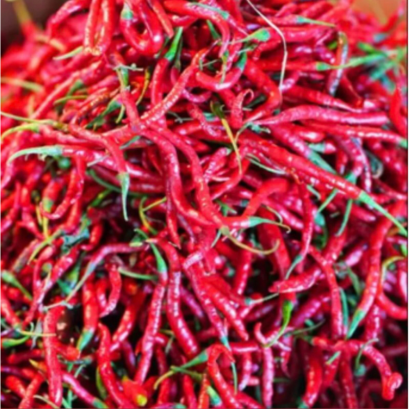 

Cabe / Cabai Merah KERITING 1 Kg 500 gr