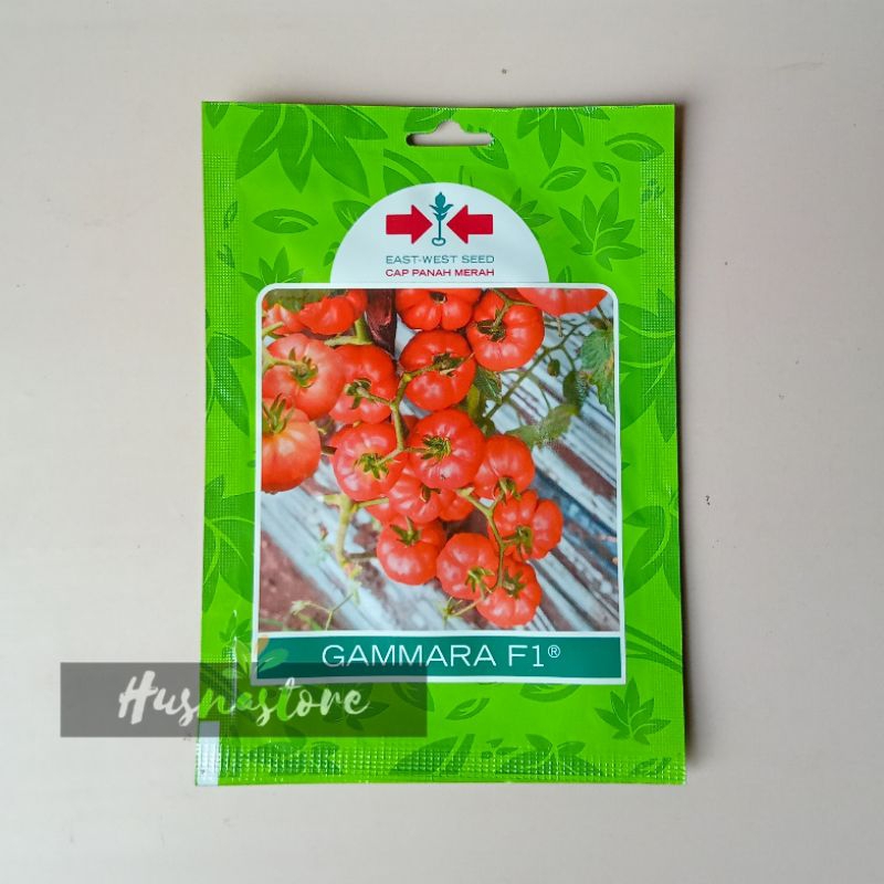 benih tomat mawar kriting gammara F1 cap panah merah isi 150 butir