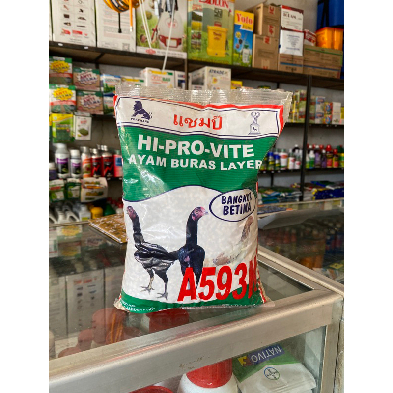 pakan  ayam Bangkok betina A593K