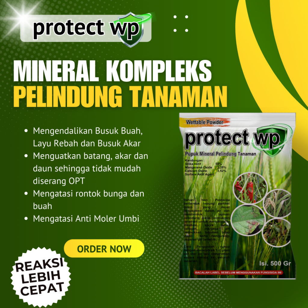Protect WP 1 Kg Pupuk Mineral Plus Silika  Kover WP