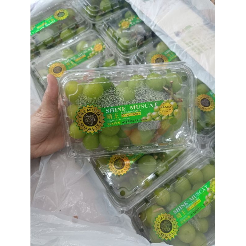 

ANGGUR SHINE MUSCAT HIJAU 500GR KAYA MANFAAT