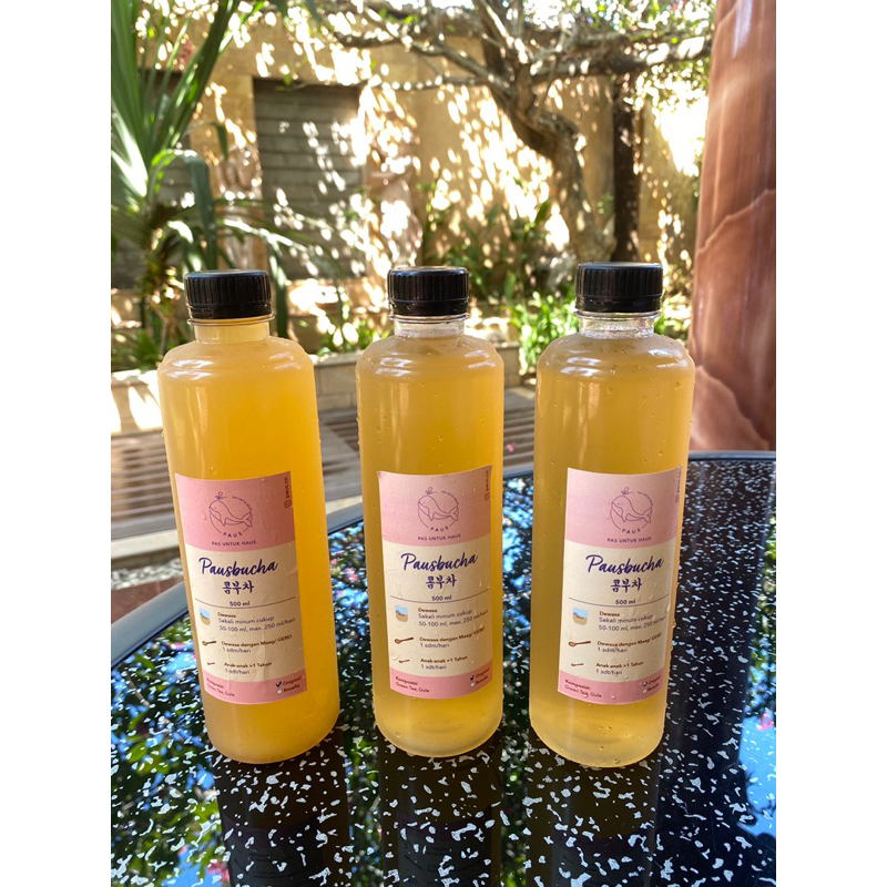 

PAUSbucha Kombucha Original 500 ml