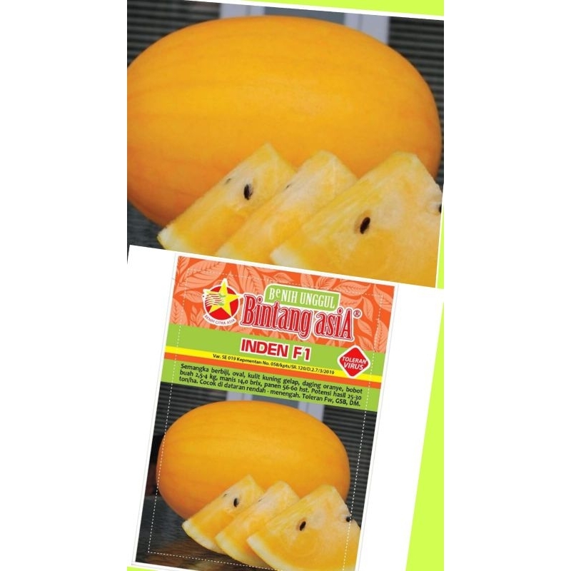 BENIH SEMANGKA GOLDEN KUNING 50BIJI