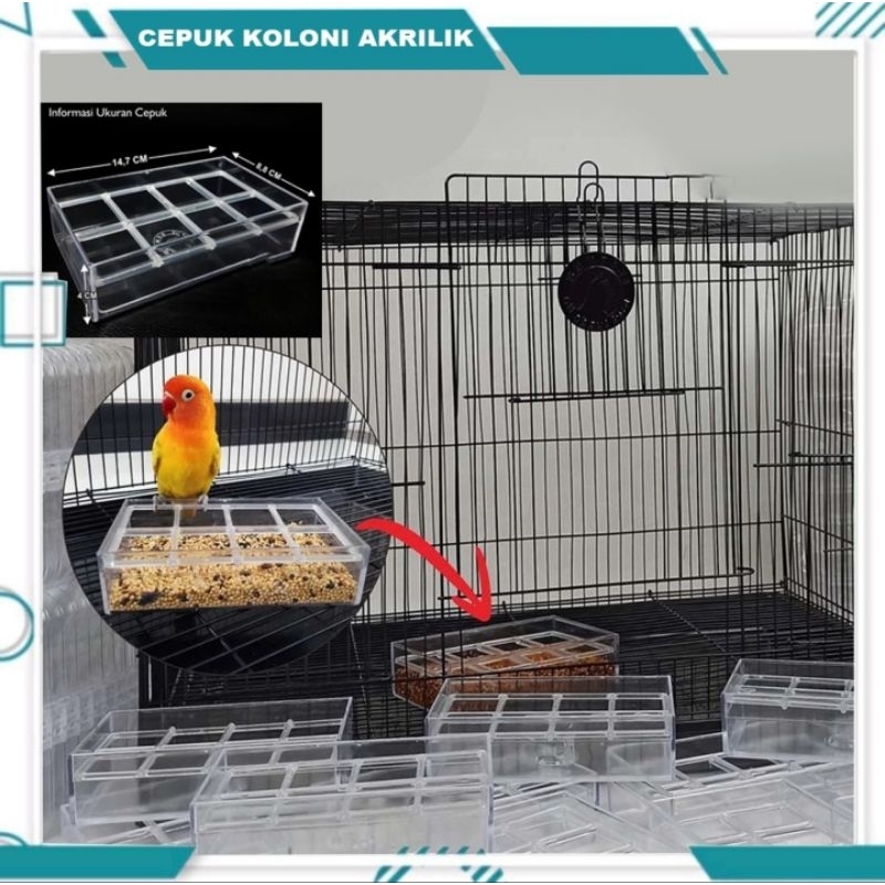 WADAH PAKAN KOLONI AKRILIK SEMPATI CEPUK RAM / TEMPAT MAKAN TERNAK BURUNG