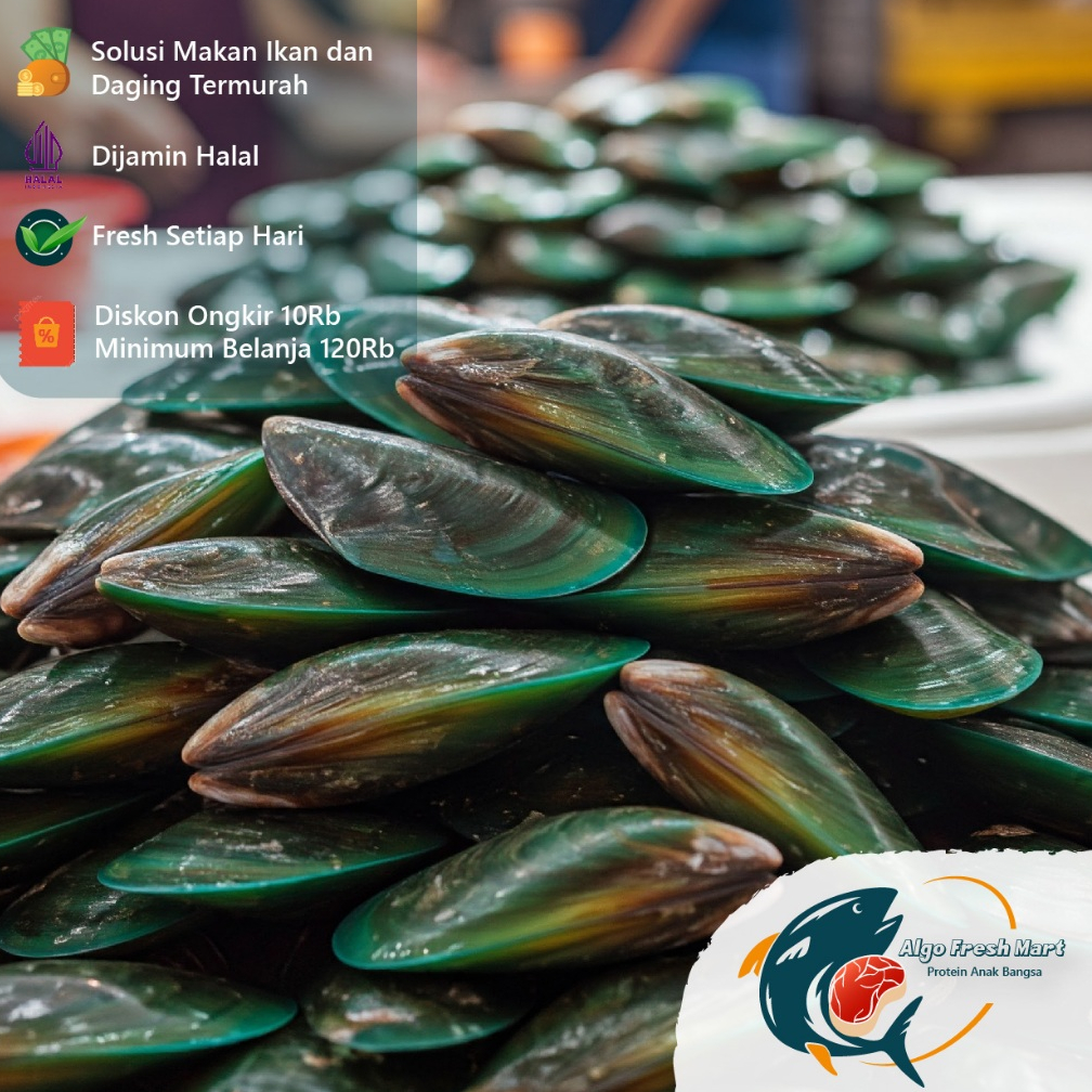 

Kerang Hijau Kulit Ukuran Sedang ( 1kg )