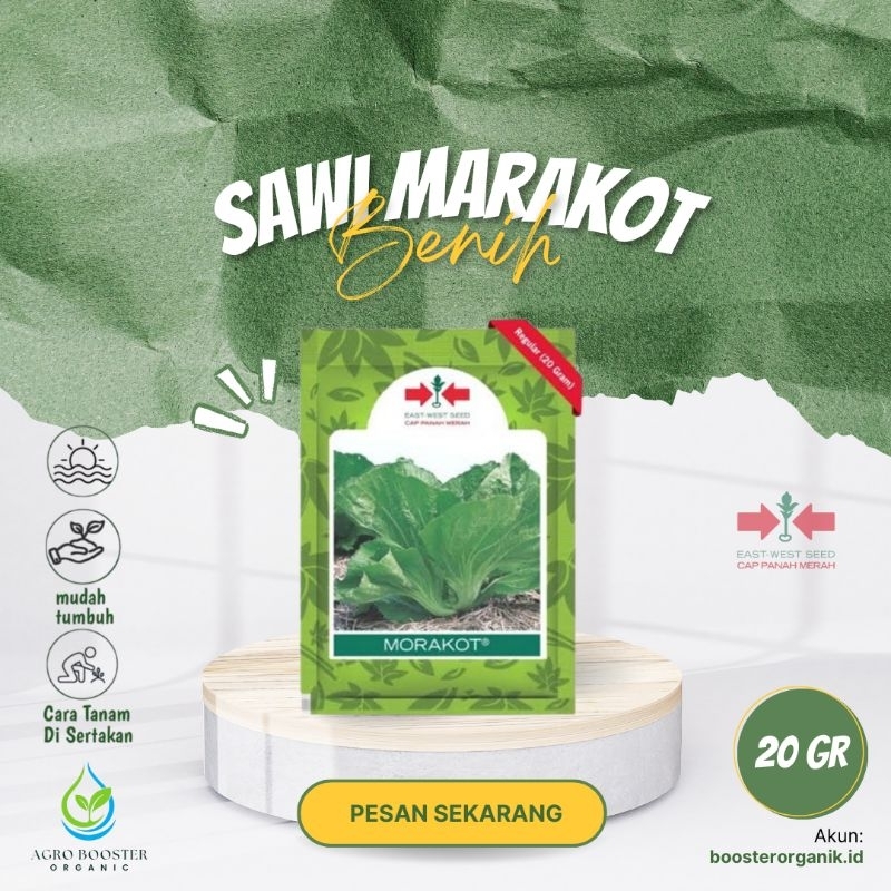 Benih Sawi - Benih Sawi Pahit Cap Panah Merah - Benih Sawi MORAKOT 20 gram