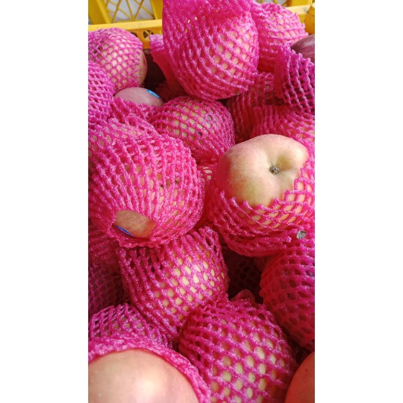 

APEL FUJI