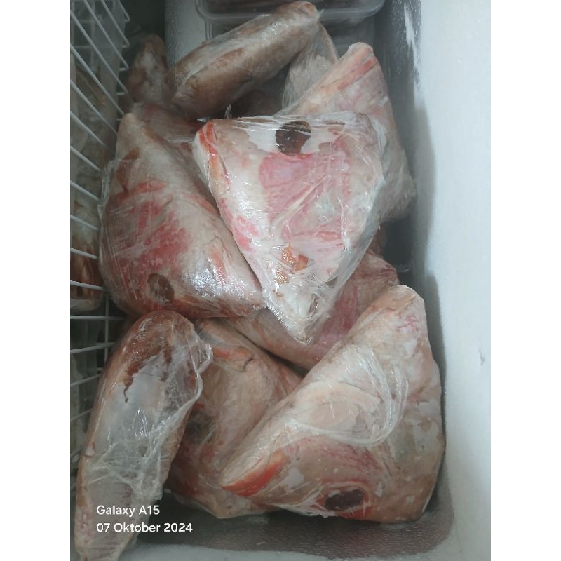 

kepala ikan kakap