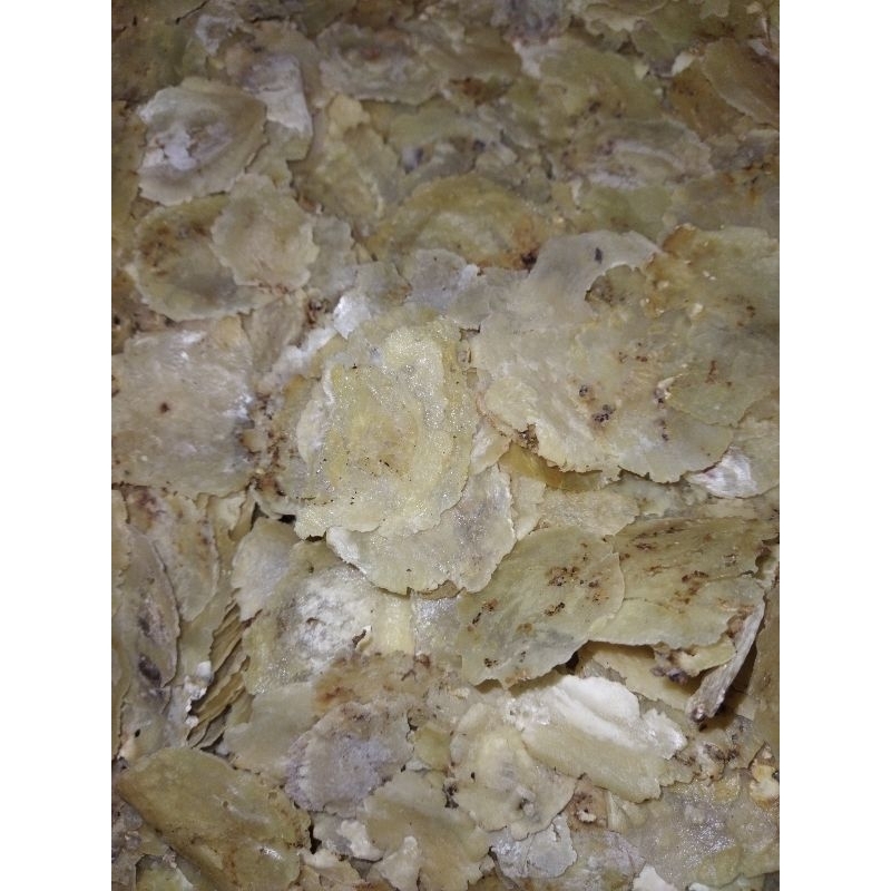 

EMPING SISA SORTIR FULL KERING EMPING BS