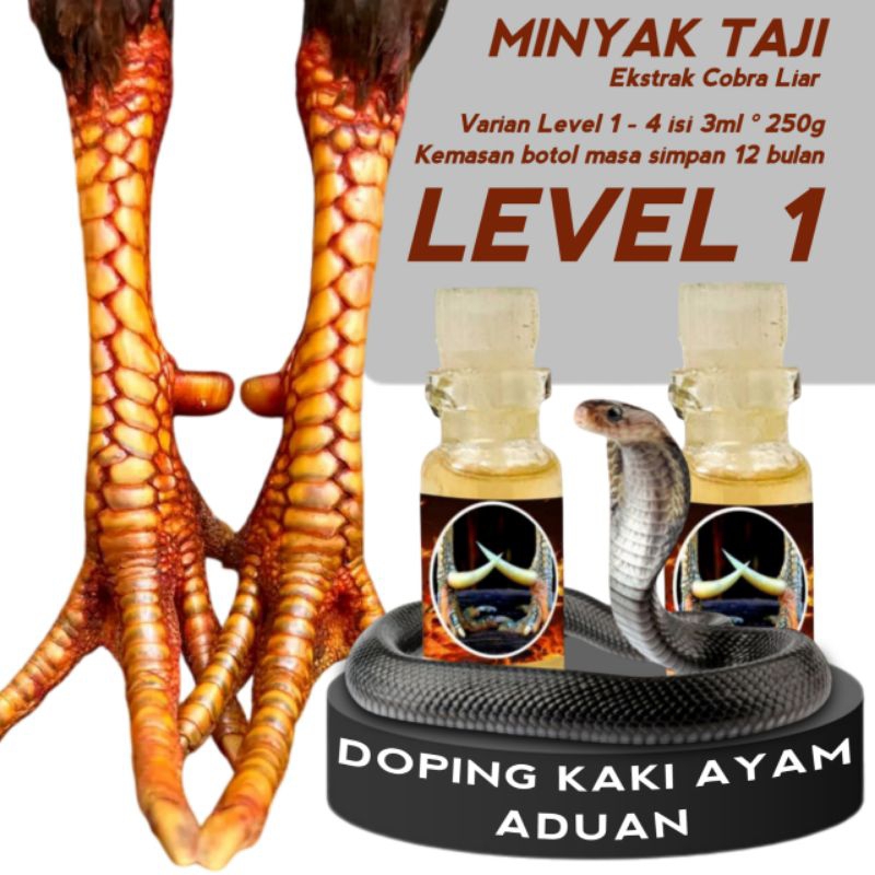 Doping rawatan kaki ayam bangkok Katuranggan pancuran emas