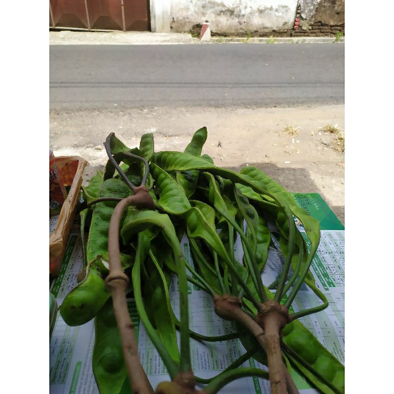 

Petai