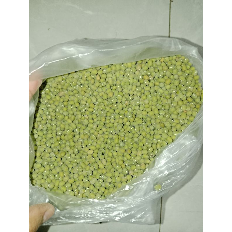 

Kajang Ijo Hasil Panen Sendiri Kemasan 500g