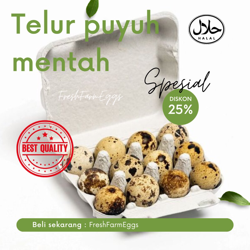 

Telur puyuh mentah - promo 25% (1 Kg (±90 butir): Rp39.900