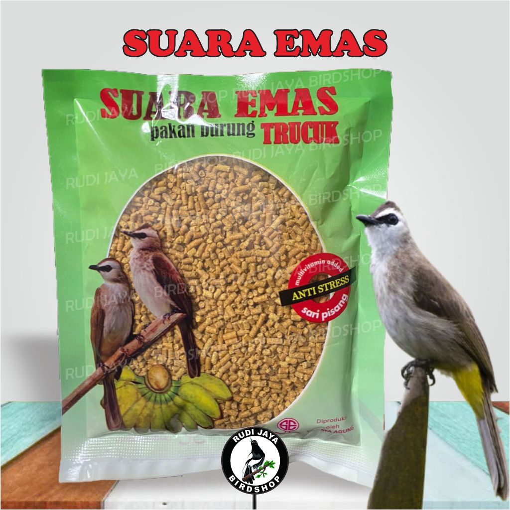 VOER TRUCUK SUARA EMAS PAKAN MAKANAN BURUNG TROCOK KUTILANG CUCAK JOGJOG DENGAN BUAH PISANG ASLI