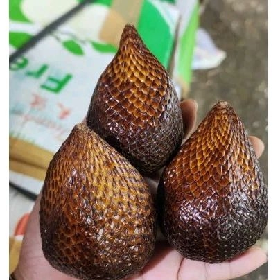 

salak pondoh manis 500 gram