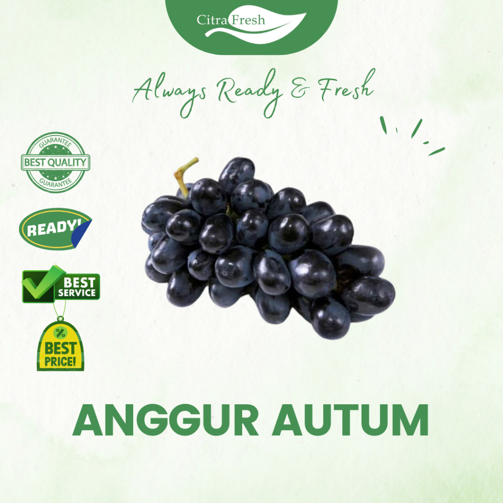 

CITRA FRESH - Anggur Autum 250 Gram - Selalu Ready dan Fresh