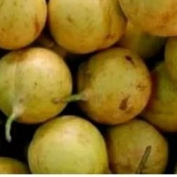 

buah pala utuh 1 kg