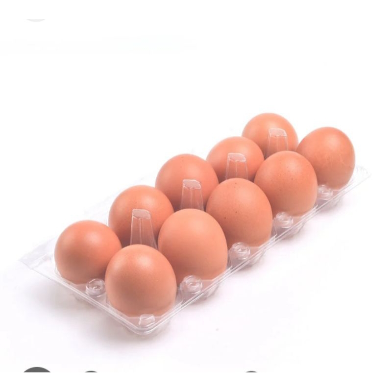

Telur Ayam Eropa 10 butir