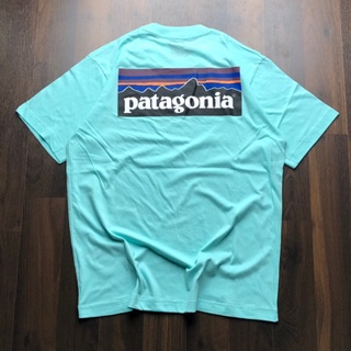 Baju Kaos Patagonia Mountain Hijau Mint M-XL | Kaos Distro Casual Pria