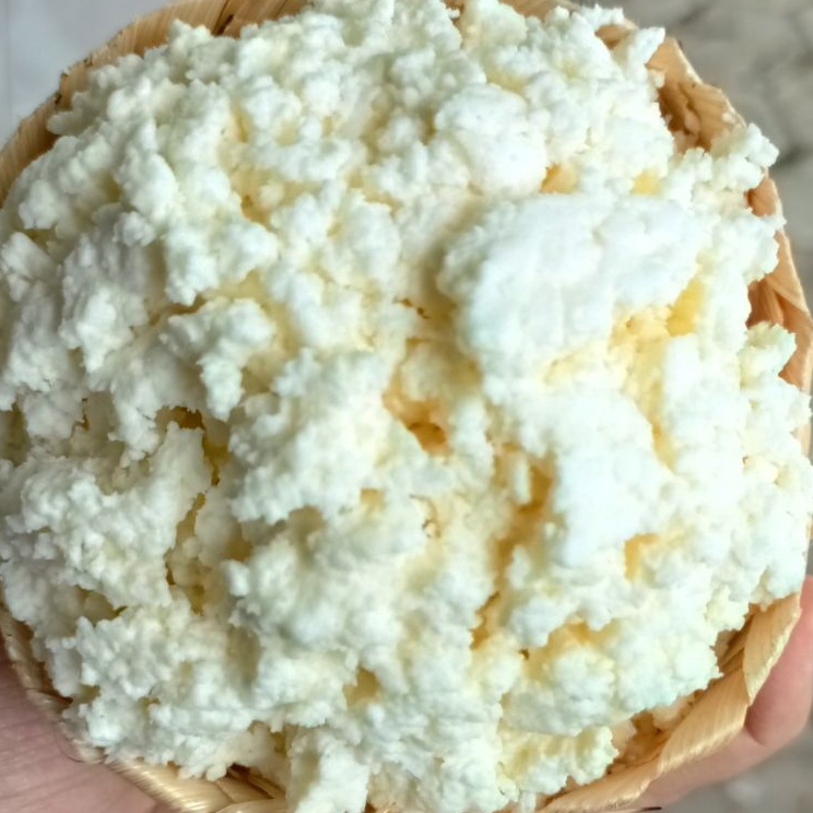 

Dipesan ya Bibit Kefir 5 gram Anti Gagal