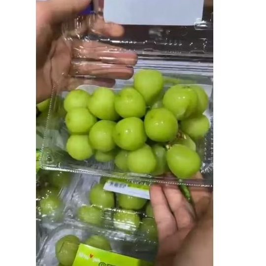 

Anggur Muscat Pack Miss you Jual Per 1 Dus/Karton
