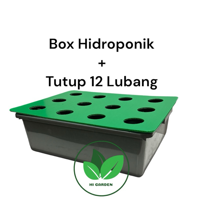 Box Hidroponik Dengan Tutup 12 Lubang