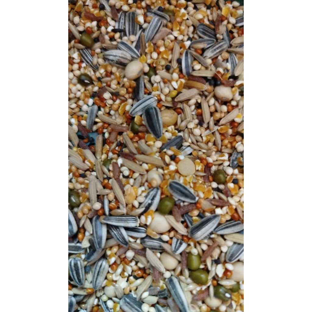 PREMIUM HAMSTER FOOD MAKANAN HAMSTER NUTRISI SEHAT + BONUS MINYAK IKAN (TANPA PELET)