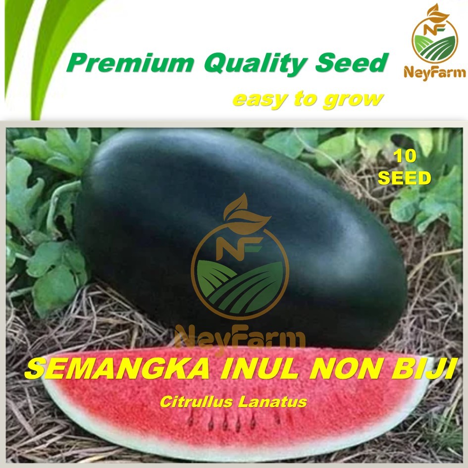 Benih Semangka Inul Merah Benih Biji Buah Semangka Inul Merah 10 Biji