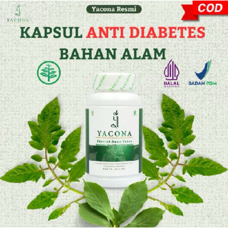 

Yacona Herbal Diabetes Terbukti Ampuh Memperbaiki Sel Beta Pankreas Dan Menurunkan Gula.