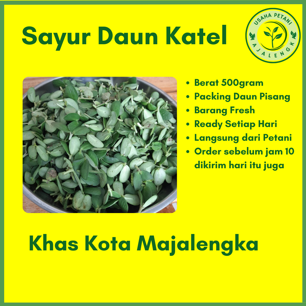 Daun Katel/Daun Katel Majalengka/Pencok Katel 250gram