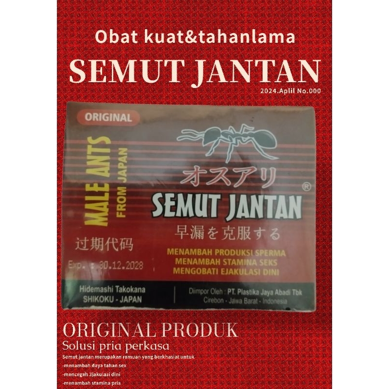 Semut jantan