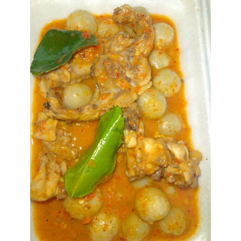 

BACIL TULANG