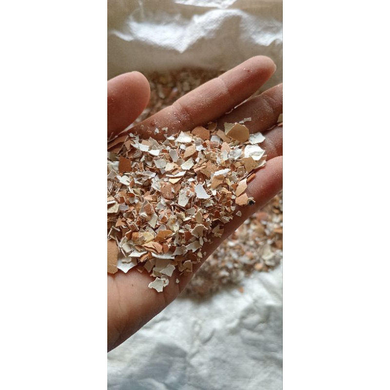 

asinan telur kering glosir murah