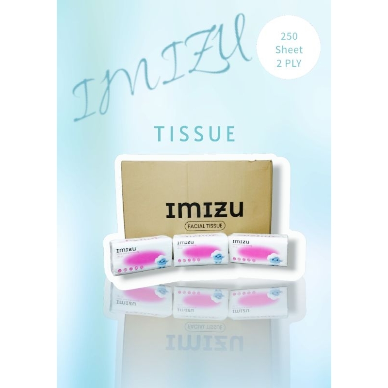 tisu facial murah 250 1 karton isi 48