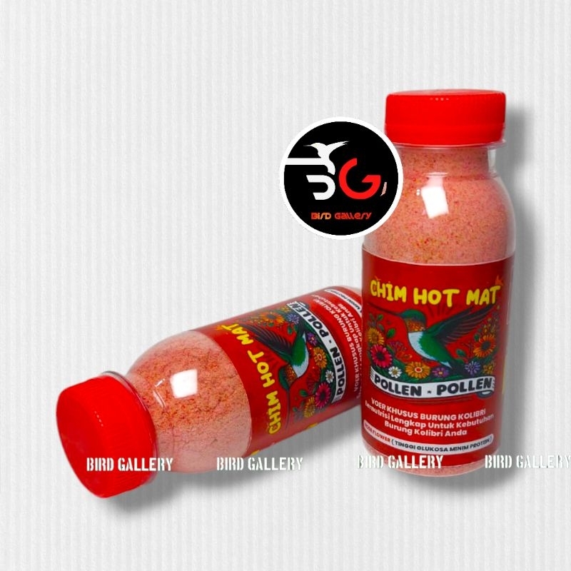 VOER CHIM HOT MAT VOER BURUNG SOGON KOLIBRI
