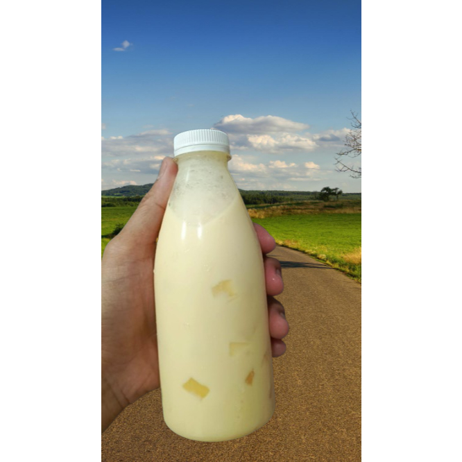 

Yogurt Jelly Kemasan 350 ML
