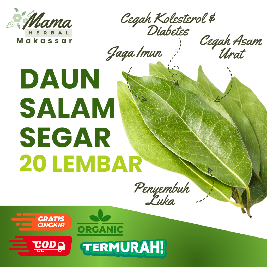

Daun Salam Segar 20 Lembar Fresh Baru Dipetik Obat Kolesterol Diabetes Asam Urat Luka COD Makassar