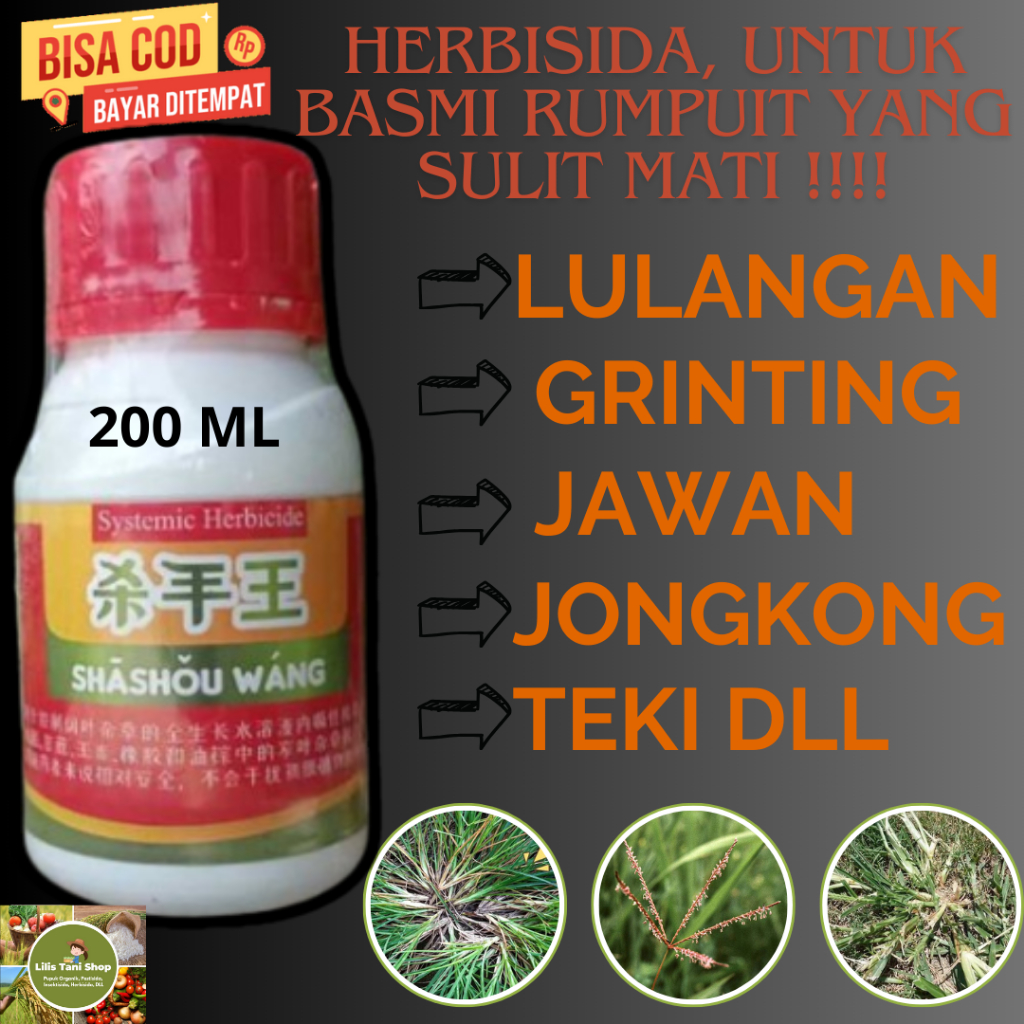 Herbisida Sistemik Selektif Shashou Wang Merah Obat Rumput Khusus Grinting Jawan Lulangan Jongkong