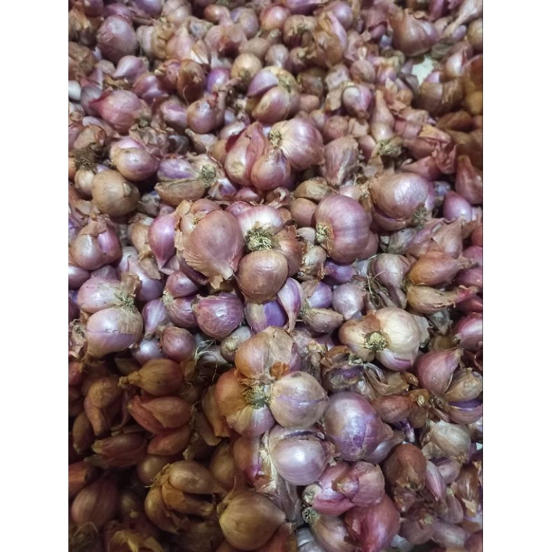 

1KG BAWANG MERAH GERUSAN / BRAMBANG MURAH / BAWANG MERAH