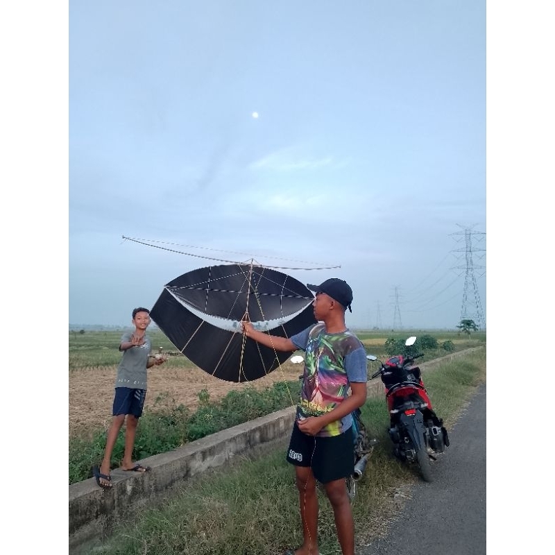 Layangan Pegon ceper sayap mentah 1,2m,sayap jadi 110cm sudah full set sandaren siap terbang lolos s