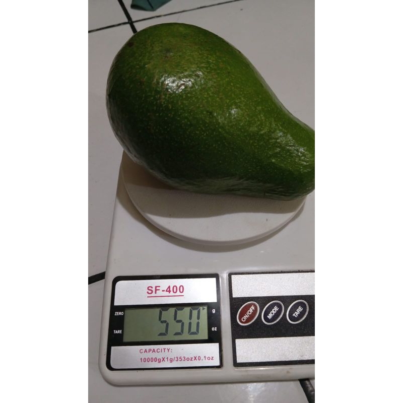 

ALPUKAT MENTEGA SUPER ALPUKAT MENTEGA SUPER