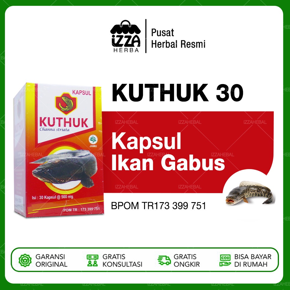 KAPSUL IKAN GABUS PASCA OPERASI Kapsul Kutuk Makkata Ekstrak Albumin Ikan Gabus Obat Luka BPOM Ori