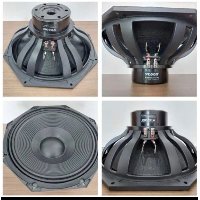 Speaker Component Wisdom 10 Inch D 10C NEO