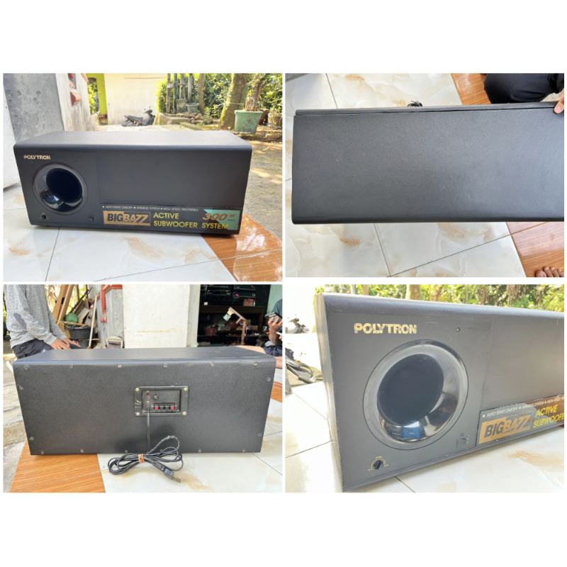 SUBWOOFER POLYTRON PSW 300