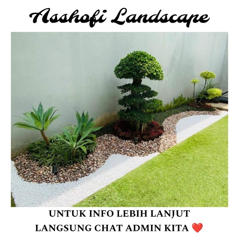 PEMBUATAN TEBING DEKORASI TAMAN MINIMALIS KOLAM IKAN HIAS BUNGA HIAS PASANG RUMPUT TAMAN JEPANG TANA