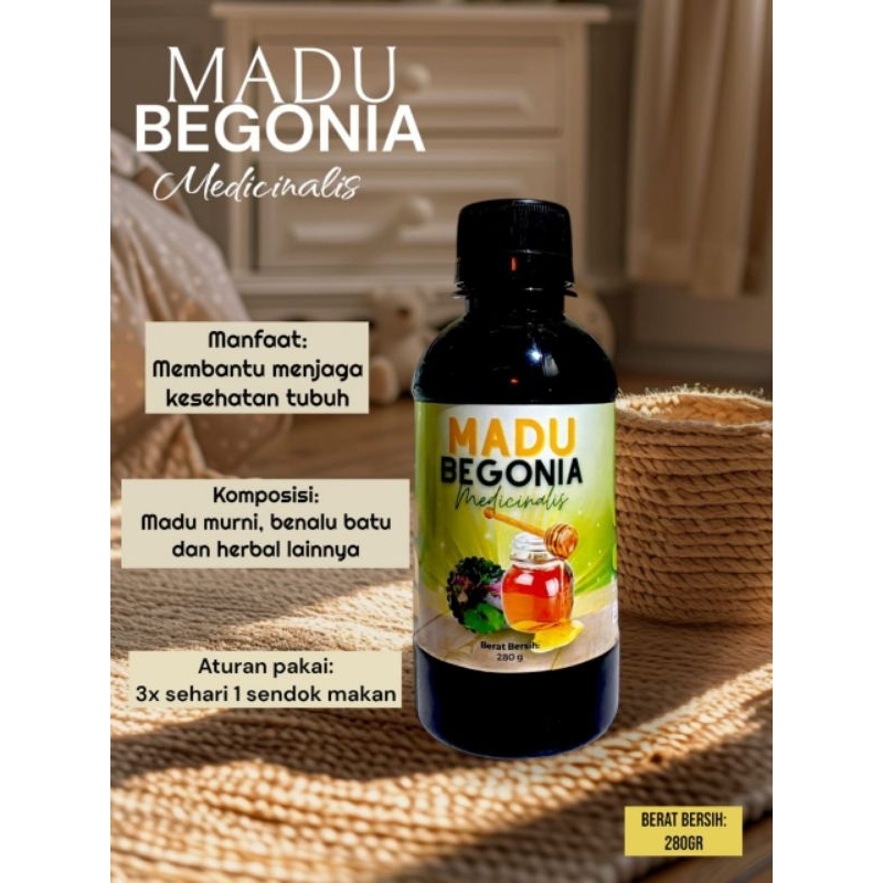 

Madu begonia medicinalis/madu benalu batu