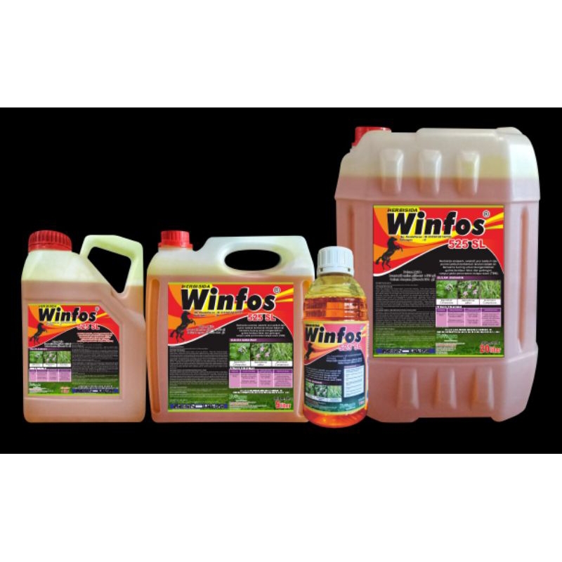 Winfos 525Sl