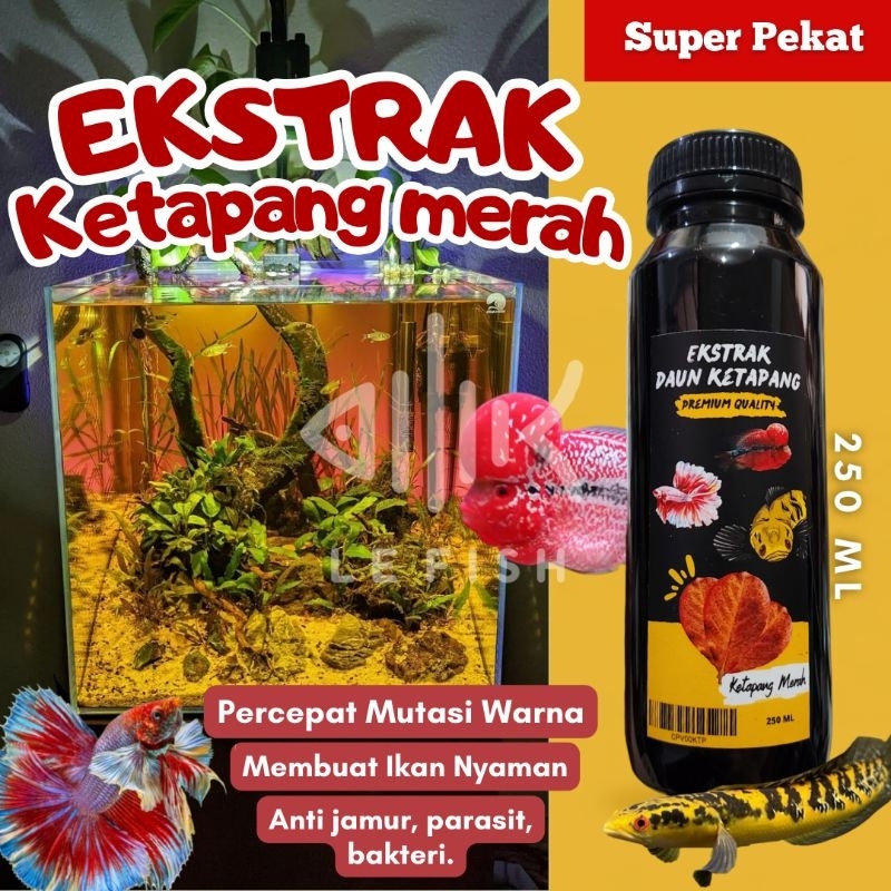 Ekstrak Daun Ketapang Super Tebal Pekat Ketapang Cair Merah 250ML
