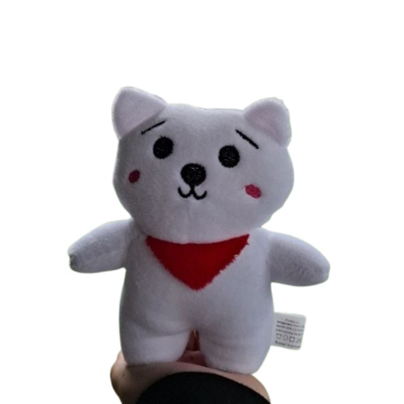 Boneka BTS RJ Boneka Karakter Mini Boneka Bucket Wisuda